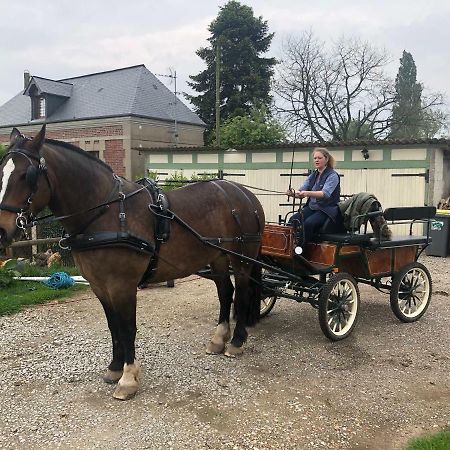 Maison D Hotes Le Saint Aubin Hotel Amfreville-la-Campagne Kültér fotó