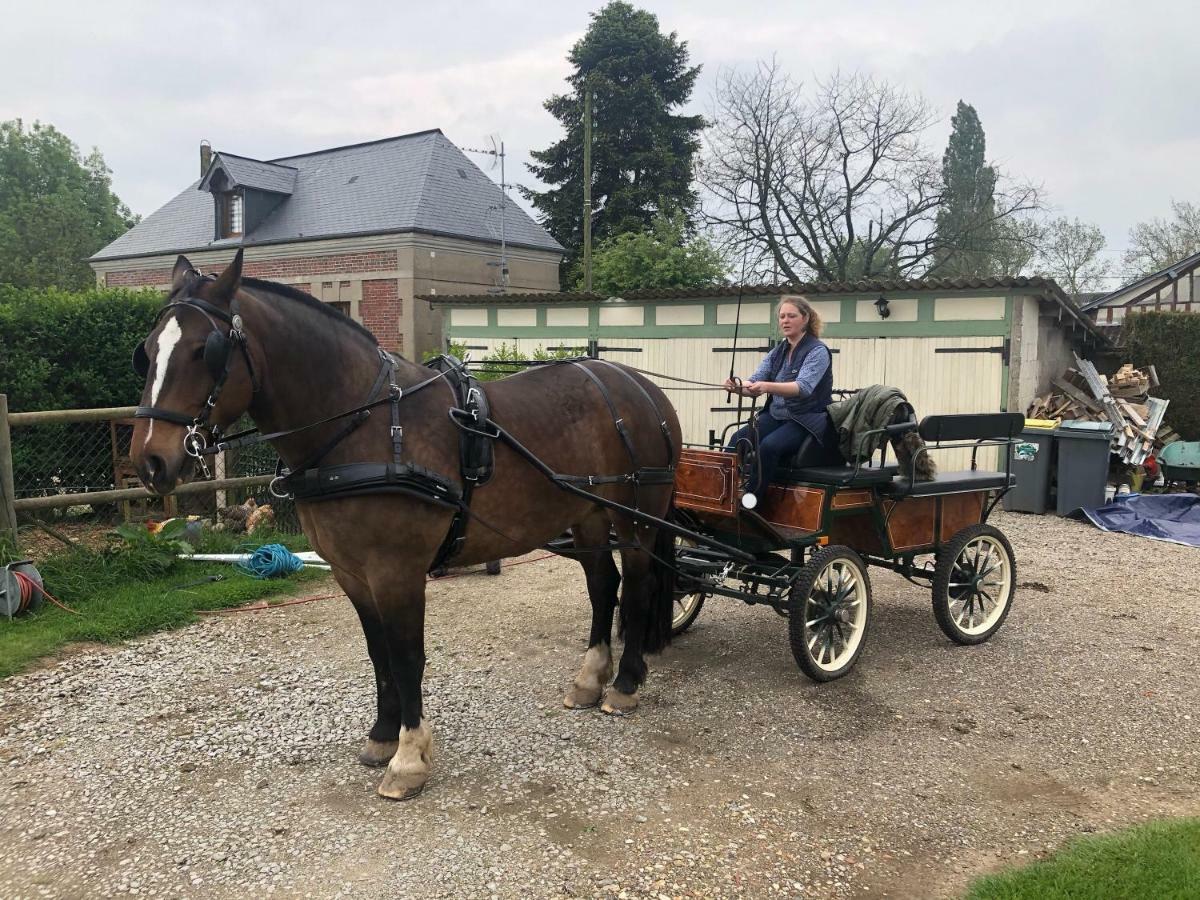 Maison D Hotes Le Saint Aubin Hotel Amfreville-la-Campagne Kültér fotó